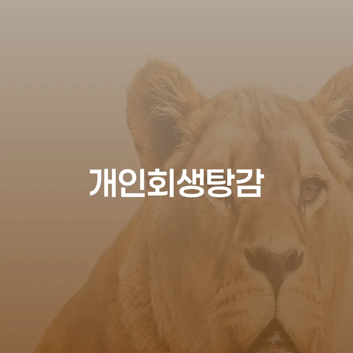 개인신용평가 개인회생 제도 걱정이라면