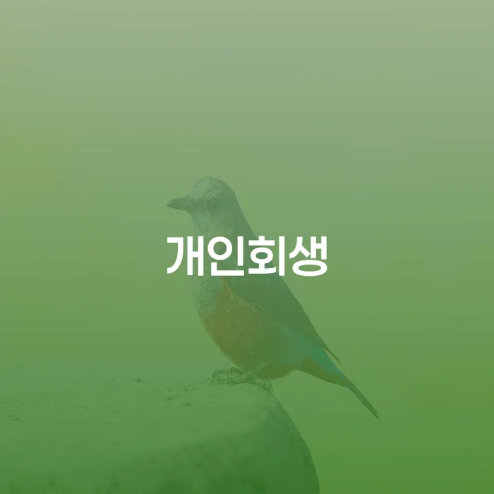 개인회생특별면책 빚청산 신청절차에