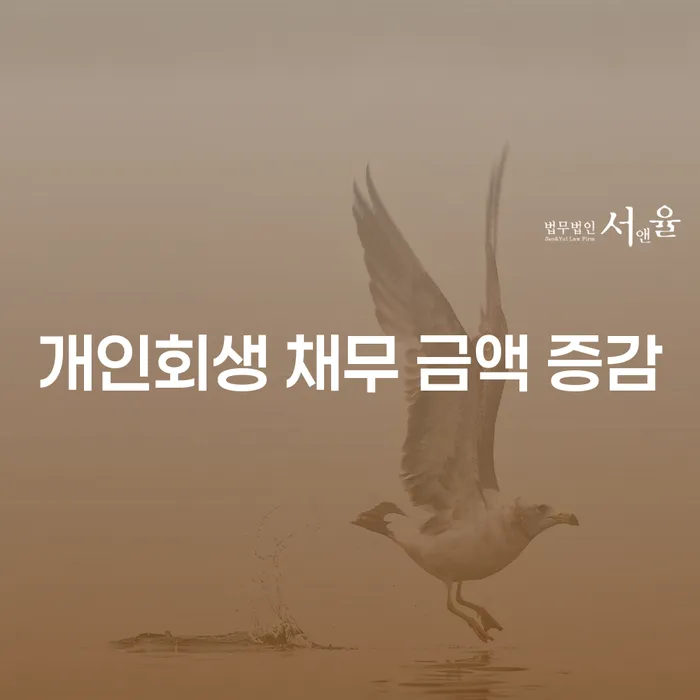 개인회생 채무 금액 증감, 어떻게 해야 할까요?